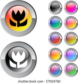 Macro multicolor glossy round web buttons.