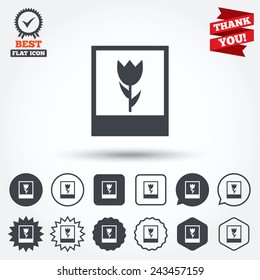 Macro photo frame sign icon. Flower photography symbol. Circle, star, speech bubble and square buttons. Award medal with check mark. Thank you ribbon. Vector