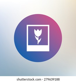 Macro photo frame sign icon. Flower photography symbol. Icon on blurred background. Vector