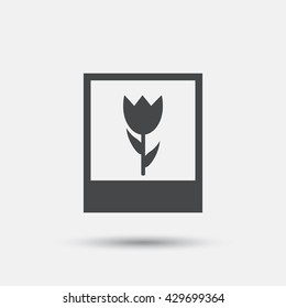 Macro photo frame sign icon. Flower photography symbol. Flat macro photo web icon on white background. Vector