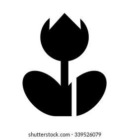 Macro photo frame sign . Vector illustration
