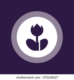Macro photo frame sign . Vector illustration