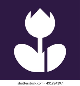Macro photo frame sign . Vector illustration