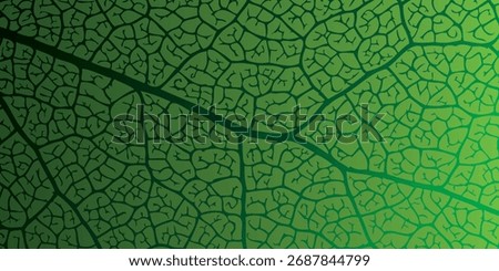 A macro photograph capturing the detailed, web-like structure of a green leaf's veins and cellular pattern, with a vibrant green to dark green color gradient.