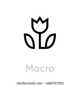 Macro picture icon. Editable line vector. Minimalistic image of a plant flower with leaves. Single pictogram.