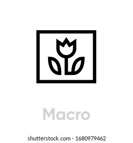 Macro picture icon. Editable line vector. Element square frame image flower with leaves. Single pictogram.