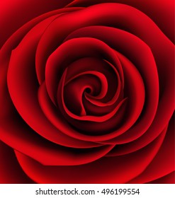 macro shot red rose, vector illustration