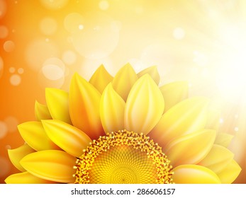 Macro SunFlower Background with bokeh. EPS 10 vector file included