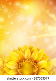 Macro SunFlower Background with bokeh. EPS 10 vector file included