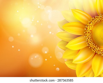 Macro SunFlower Background with bokeh. EPS 10 vector file included