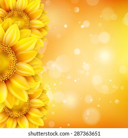 Macro SunFlower Background with bokeh. EPS 10 vector file included