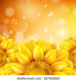 Macro SunFlower Background with bokeh. EPS 10 vector file included