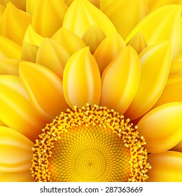 Macro SunFlower Background with bokeh. EPS 10 vector file included