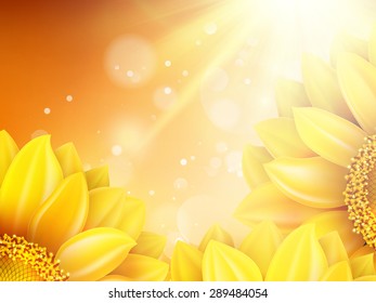 Macro SunFlower Background with bokeh. EPS 10 vector file included