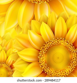 Macro SunFlower Background with bokeh. EPS 10 vector file included