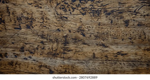 Macro texture of rustic weathered wood surface with background weathered material abstract structure hardwood backdrop close up construction interior woodwork roughness