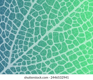 Macro texture of a tree leaf. Monochrome illustration.