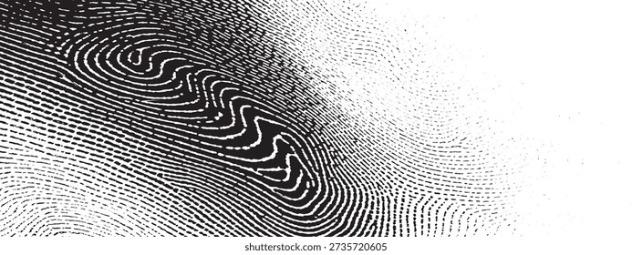 A macro view of a fingerprint, highlighting the unique ridges and whorls.