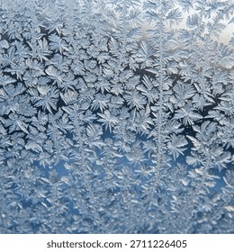 Macro view of frost crystals creating natural leaflike patterns on cold window glass with blue gradient background.