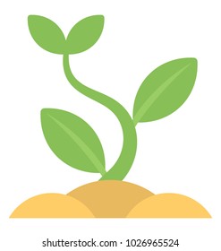 
A macro view of new blooming sprout, baby plant flat icon
