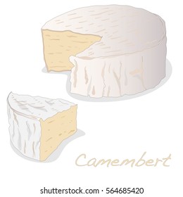 Macro of white mould cheese isolated