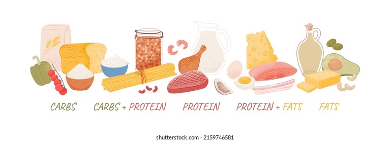 Macronutrient Categoría de alimentos. Hidratos de carbono, grasas e íconos del producto de proteínas. El concepto de dieta, alimentación saludable. Ilustración vectorial plana de categorías nutricionales aisladas en fondo blanco.