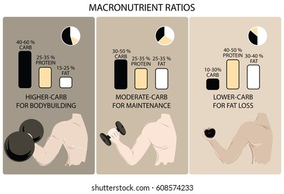 The macronutrient ratio for body building, maintenance,and fat loss.