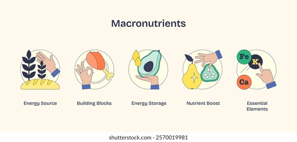 Macronutrients depicted with icons of bread, fish, and pear in a Neubrutalism style.