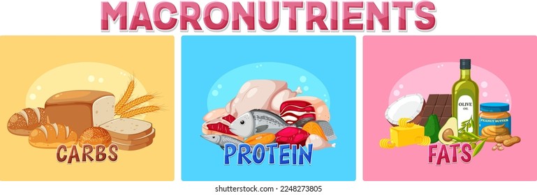 Macronutrients diagram with food ingredients illustration