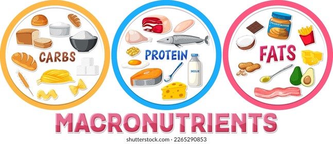 Macronutrients diagram with food ingredients illustration