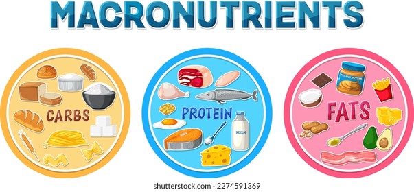 Macronutrients diagram with food ingredients illustration