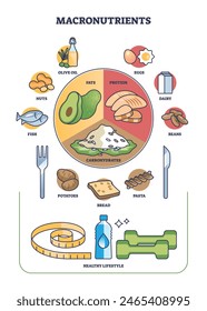 Macronutrients as fats, protein and carbohydrates complex outline diagram. Labeled educational scheme with healthy meal division for dieting and weight loss vector illustration. Lifestyle awareness.