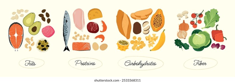 Macronutrients food groups. Cartoon balanced meal with proteins carbs and fats, healthy nutrition with complex proteins and fats. Vector isolated set.