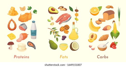 Macronutrients vector illustration. Main food groups : proteins, fats and carbohydrates. Dieting, healthy eating concept.