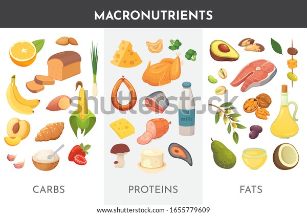 Macronutriesのベクターイラスト 主な食料グループ 蛋白 脂肪 炭水化物 ダイエットや健康的な食べ方のコンセプト のベクター画像素材 ロイヤリティフリー