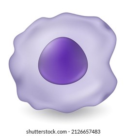 Macrophage. Type Of White Blood Cell. Medical Education.