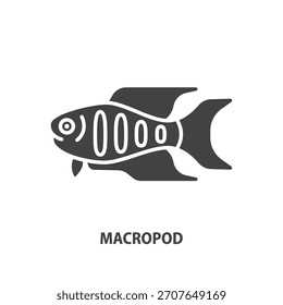 Macropod glyph icon. Labyrinth fish vector sign.