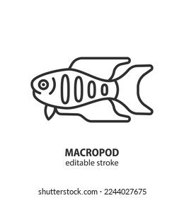 Macropod line icon. Labyrinth fish vector sign. Editable stroke.