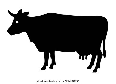 mad cow