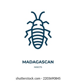 Madagascan icon. Linear vector illustration from insects collection. Outline madagascan icon vector. Thin line symbol for use on web and mobile apps, logo, print media.