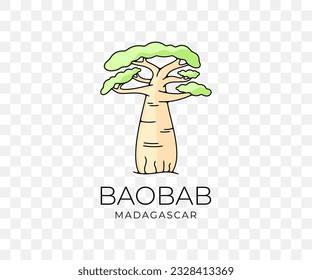 Madagascar african baobab, national park and savannah, nature, trees and plant, colored graphic design. Forest, savanna, flora, landscape and environment, vector design and illustration