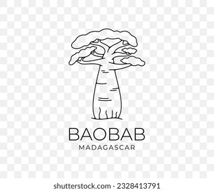 Madagascar african baobab, national park and savannah, nature, trees and plant, linear graphic design. Forest, savanna, flora, landscape and environment, vector design and illustration