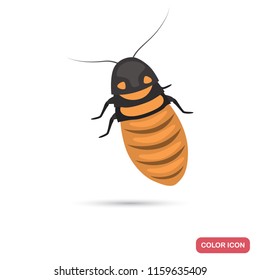 Madagascar cockroach color flat icon
