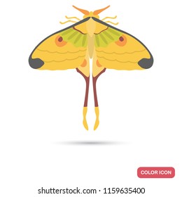 Madagascar comet color flat icon