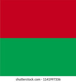 Madagascar Country Flag Illustration Design