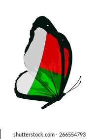 Madagascar flag butterfly - vector 