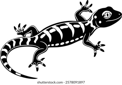 Madagascar gecko isolated on white background