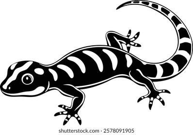 Madagascar gecko isolated on white background