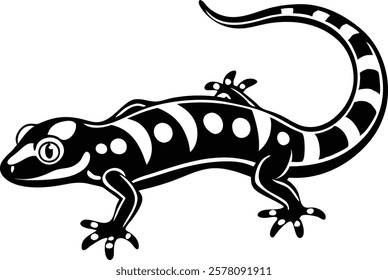 Madagascar gecko isolated on white background