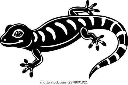 Madagascar gecko isolated on white background